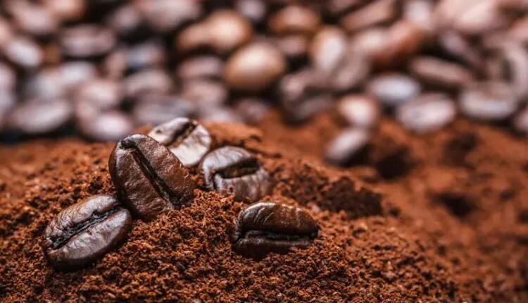 بیش از ۲ تن قهوه قاچاق در گیلان کشف شد