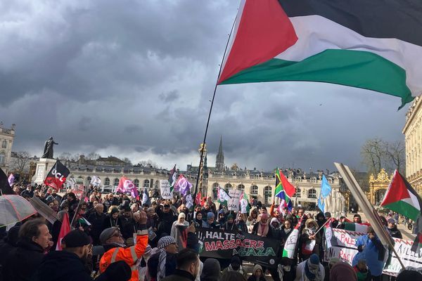 Manifestants pro-Palestine en France : « Macron, Biden, pas d’armes pour Israël »