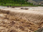 سیل و تگرگ ۹ هزار و ۵۶۶ میلیارد ریال به بخش کشاورزی مشگین‌شهر خسارت زد