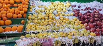 جمع آوری میوه های بی کیفیت در البرز