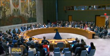 رویارویی حامیان و مخالفان کره شمالی دربرابر هم در شورای امنیت سازمان ملل