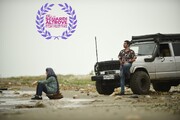 جایزه ویژه جشنواره زنان ایتالیا به کارگردان ایرانی رسید