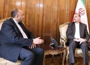 Iran FM stresses policy of strengthening ties with neighbors