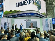 На «АТОМЭКСПО-2024» обсудили перспективы формирования ядерного клуба стран БРИКС