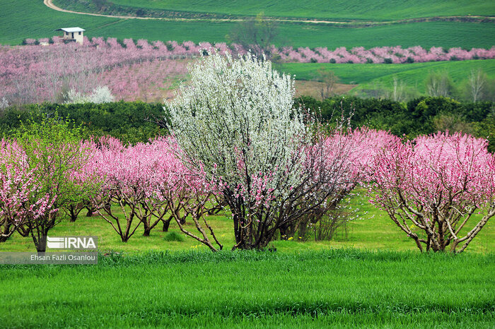 سفر نوروزی بیش از ۳۰ درصد مسافران در روستاهای مازندران