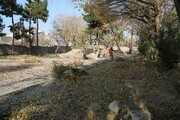 تلاش برای حفظ درختان و توسعه فضای سبز پایتخت