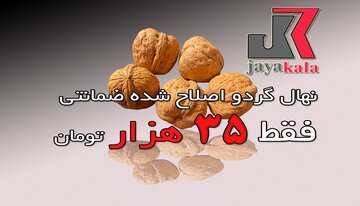 نهال گردو اصلاح شده 35 و بادام 25 هزار تومان