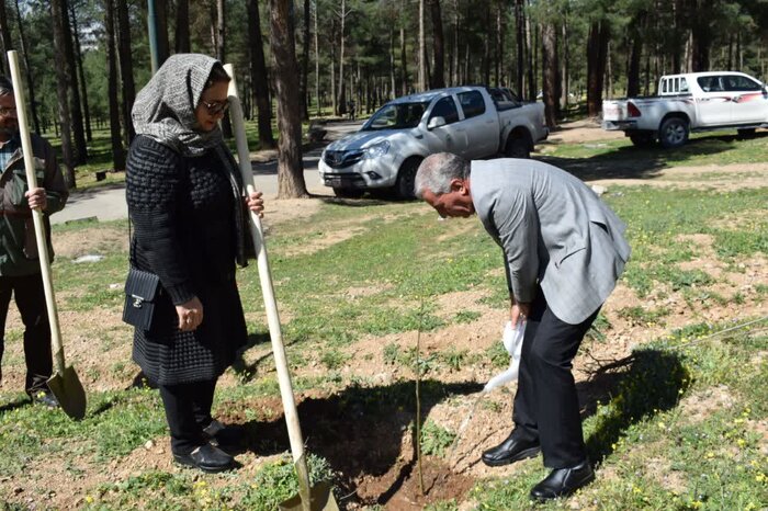 کرمانشاهی‌ها چهار هزار نهال غرس کردند