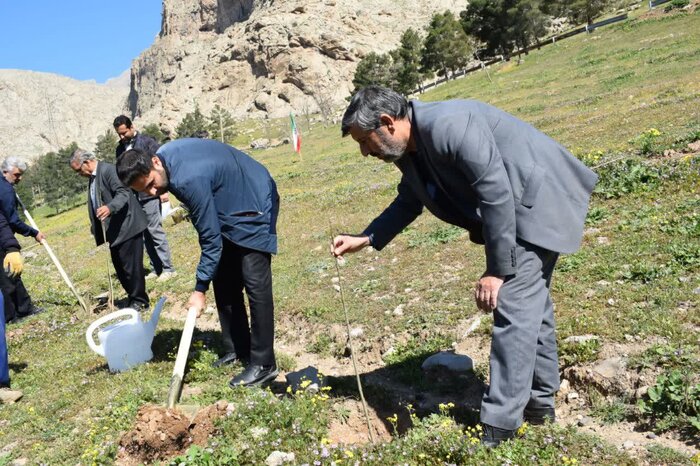 کرمانشاهی‌ها چهار هزار نهال غرس کردند