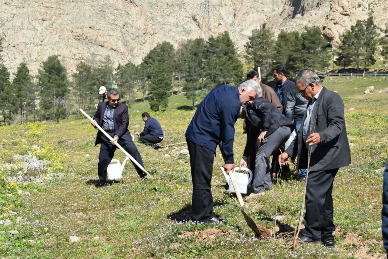 کرمانشاهی‌ها چهار هزار نهال غرس کردند