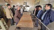 تولید نان کامل در زنجان آغاز شد
