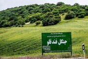 غنی‌سازی ۶۳ هکتار از جنگل‌های استان اردبیل