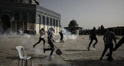 L’OCI condamne fermement l'attaque israélienne contre les fidèles de la mosquée Al-Aqsa
