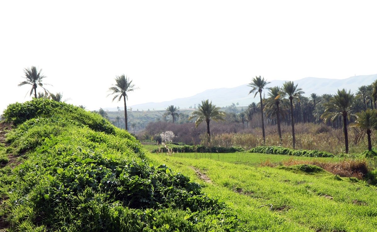 باد با سرعت ۵۸ کیلومتر در ساعت قصرشیرین را درنوردید