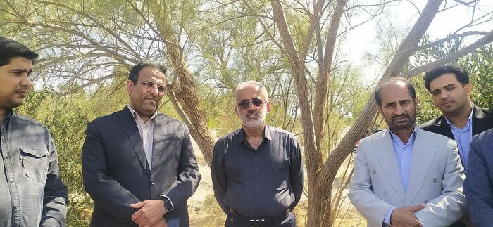 مالچپاشی 2 هزار و 50 هکتار در ریگان آغاز میشود