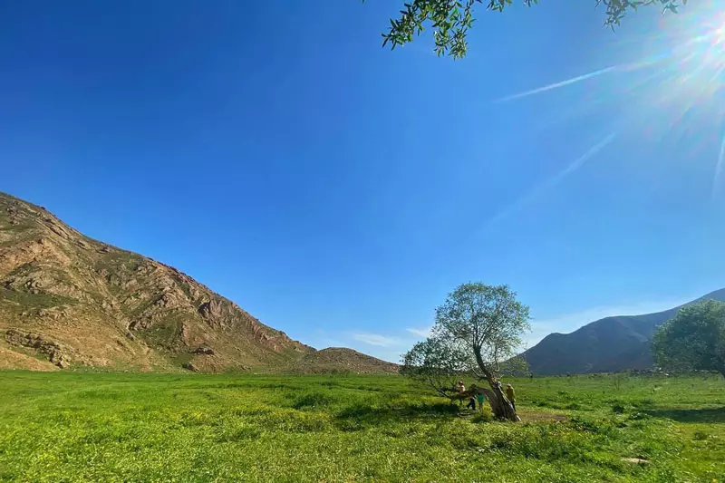 دشت هویج؛ بهشت خوش آب و هوای تهران