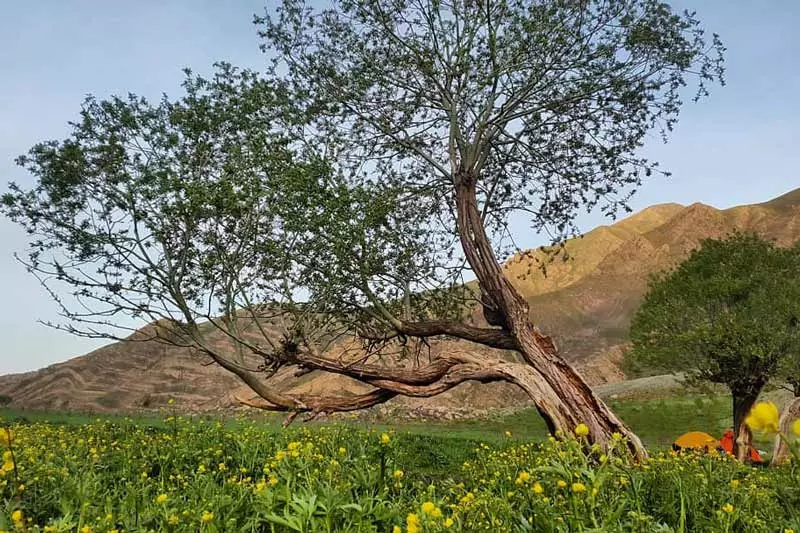 دشت هویج؛ بهشت خوش آب و هوای تهران