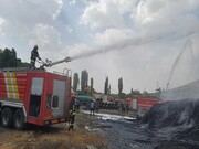 شعله‌های ۸۳۹ حریق سال گذشته در سنندج مهار شد