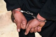 ۳۲ سارق و مالخر در خراسان جنوبی دستگیر شدند