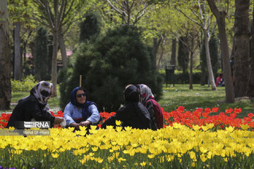 Festival de tulipanes en el parque Melat en Mashhad