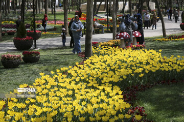 Festival de tulipanes en el parque Melat en Mashhad