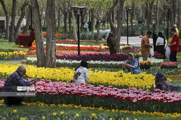 Festival de tulipanes en el parque Melat en Mashhad