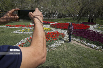 Festival de tulipanes en el parque Melat en Mashhad