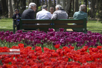 Festival de tulipanes en el parque Melat en Mashhad