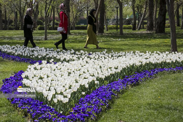 Festival de tulipanes en el parque Melat en Mashhad