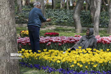 Festival de tulipanes en el parque Melat en Mashhad