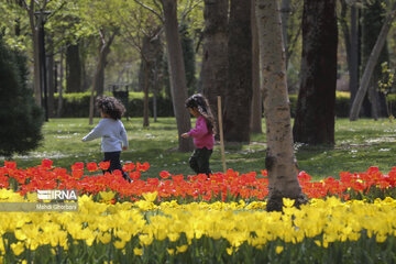 Festival de tulipanes en el parque Melat en Mashhad