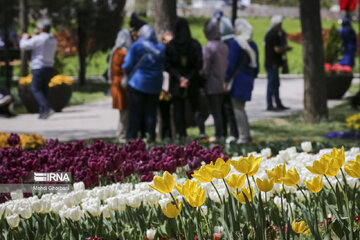 Festival de tulipanes en el parque Melat en Mashhad