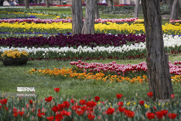 Festival de tulipanes en el parque Melat en Mashhad