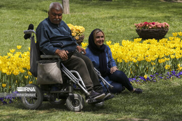 Festival de tulipanes en el parque Melat en Mashhad