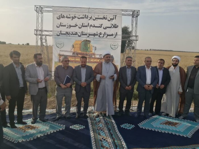 آغاز برداشت چغندرقند از سطح ۱۹ هزار هکتار اراضی کشاورزی خوزستان