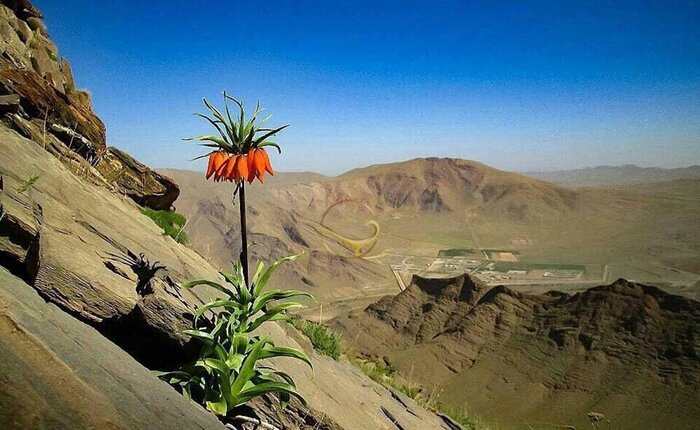 «لشگردَر» ملایر؛ چشم‌اندازی زیبا از تنوع زیستی وحوش+فیلم