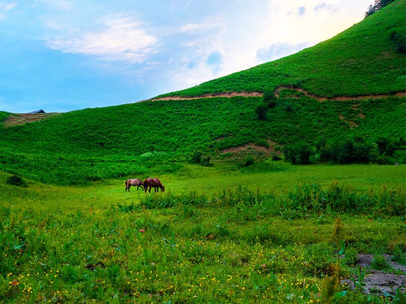 دشت هویج؛ بهشت خوش آب و هوای تهران