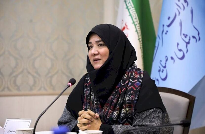 معاون وزیر میراث فرهنگی: صنایع دستی با بستهبندی و تسهیلگری به بازار جهانی راه مییابد معاون وزیر میراث فرهنگی: صنایع دستی با بستهبندی و تسهیلگری به بازار جهانی راه مییابد