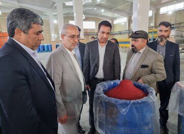 استاندار کرمان: هیچ دستگاهی حق تعطیلی خط تولید را ندارد