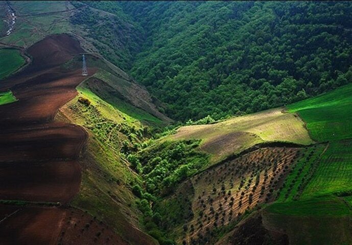 هیرکانی، زخمی از خنجرهای پیاپی