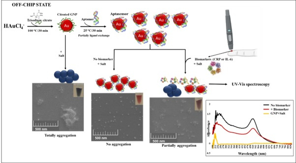 پژوهشگران حسگرهای نانویی برای تشخیص بیماری عفونی سپسیس ساختند+ فیلم