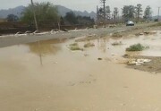 بارندگی و تندباد ، ۳ میلیارد ریال به زیرساخت‌های شهرستان "دیر" خسارت وارد کرد