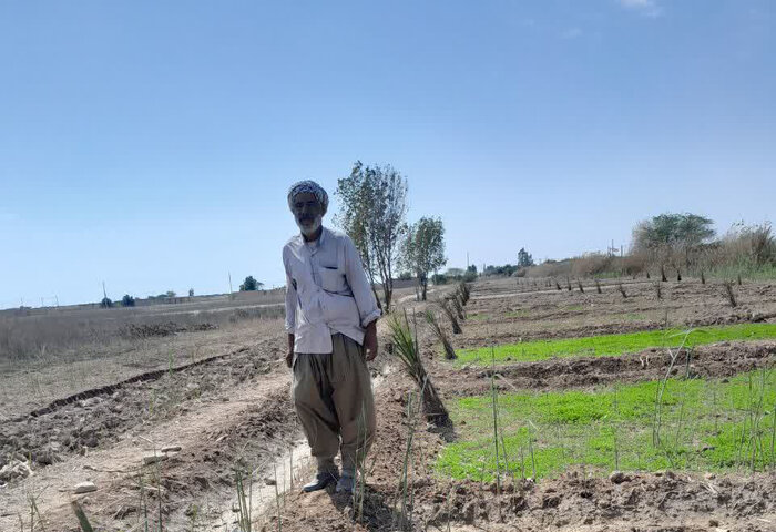 ۲۲ هزار تن کاه حبوبات از بنادر آبادان صادر شد