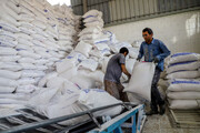 ۱۸ هزار تن آرد در روستاهای استان کرمانشاه توزیع شد