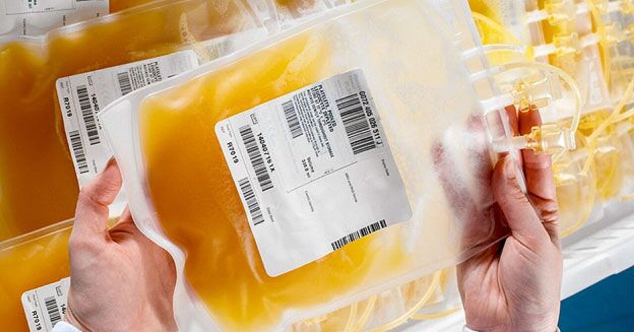 تولید پلاسمای خون؛ ارزآوری و ایمنی بیشتر در حوزه سلامت کشور