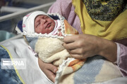 ۷۵ درصد نوزادان زنجان در سال گذشته از مادران زیر ۳۵ سال به دنیا آمدند