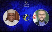 Iran FM, OIC chief review regional developments