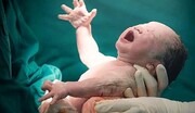 نوزاد افغانستانی در آمبولانس تخت جمشید متولد شد