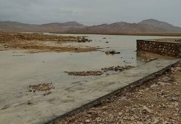 باران بهاری؛ مرهمی بر زخم خشکسالی خراسان جنوبی + فیلم