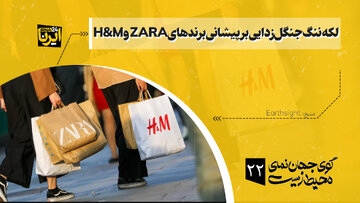 لکه ننگ جنگل‌زدایی بر پیشانی برندهای ZARA و H&M